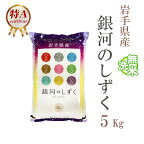 米 無洗米 5kg 銀河のしずく 岩手県産 令和5年産 特A 1等米 銀河のしずく お米 5キロ 安い あす楽 送料無料【沖縄、配送不可】