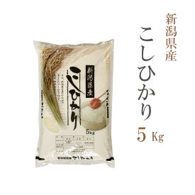 米 白米 5kg コシヒカリ 新潟県産 令和5年産 コシヒカリ お米 5キロ 安い あす楽 送料無料【沖縄、配送不可】