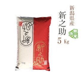 無洗米 5kg 新之助 しんのすけ 新潟県産 令和7年産 一等米 新之助 しんのすけ お米 5キロ 安い あす楽 送料無料【沖縄、配送不可】