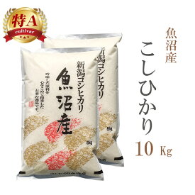 米 白米 10kg 送料無料 コシヒカリ 5kg×2袋 新潟県魚沼産 令和6年産 特A 一等米 コシヒカリ お米 10キロ 安い あす楽 送料無料 沖縄配送不可