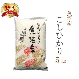 米 白米 5kg コシヒカリ 新潟県魚沼産 令和6年産 特A 一等米 コシヒカリ お米 5キロ 安い あす楽 送料無料【沖縄、配送不可】