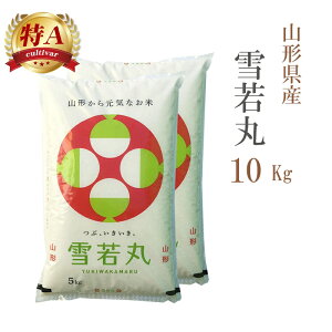   10kg   5kg×2 R`Y ߘa6NY A ꓙ   10L  y  zs