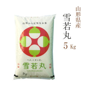 �� ���� 5kg ���� �R�`���Y �ߘa7�N�Y �ꓙ�� ���� ���� 5�L�� ���� �����y ���������y����A�z���s�z