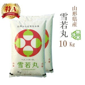  10kg   5kg×2 R`Y ߘa6NY A ꓙ   10L  y  zs