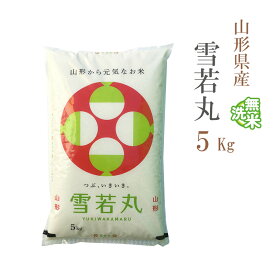 無洗米 5kg 雪若丸 山形県産 令和5年産 雪若丸 お米 5キロ 安い あす楽 送料無料【沖縄、配送不可】