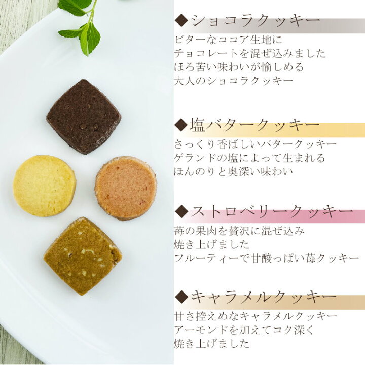 830円 高品質新品 鈴屋総本店 グランガトー PS-10 830円 高品質新品 鈴屋総本店 グランガトー PS-10