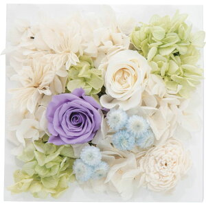 Ԃ j Mtg hCAW vU[uhEH[t[ XNGA ncr-wallpri02-pu Vz  z u  