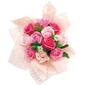 Ԃ j Mtg G XJ[bgu[P \[vt[ FDC3NSCK Vz  z u  