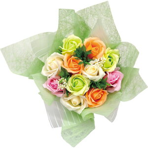 Ԃ j Mtg G XJ[bgu[P \[vt[ FDC2NSCM Vz  z u  