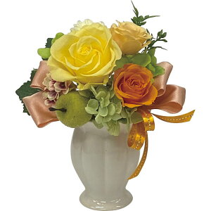 Ԃ j Mtg hCt| tFX vU[uht[ bc-13099-Y Vz  z u  