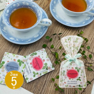 Ԃ j MtgeB[obO EFbWEbhChXgx[A\[geB[obOWSN-TB5P v`Mtg Vz  z u 