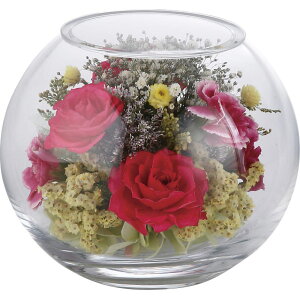 Ԃ j Mtg hCAW {gt[{[1000124718 Vz  z u  