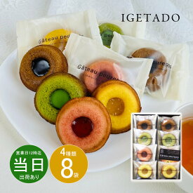 お中元 お返し 内祝い ギフト 洋菓子 井桁堂 ガトープルポ8個入00080 プチギフト 【メーカー包装済】 新築 お礼 引越し 志 仏事 あす楽 ポイント お得 point