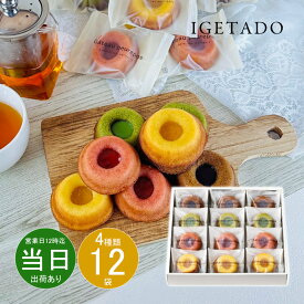お中元 御中元 お返し 内祝い ギフト 洋菓子 井桁堂 ガトープルポ12個入00081 【メーカー包装済】 新築 お礼 引越し 志 仏事 あす楽 ポイント お得 point