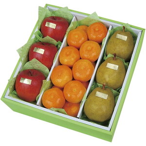 Ε Ԃ j Mtg͂mF ʕ _Cʉ EC^[t[clWF-55RW Y Vz  z u  