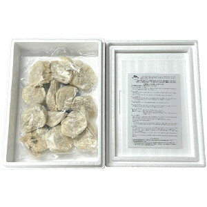 Ε Ԃ j Mtg͂mF y TCYt[Y ^ӂ̓gSRF-NK-25 Y Vz  z u  