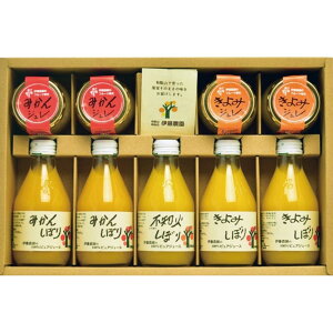 Ε Ԃ j Mtg؈ ɓ_ 100%sAW[XWMtgZbgV-113 Vz  z u  