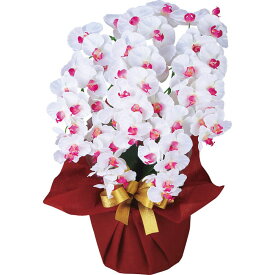 お返し 内祝い ギフトア−トアレンジ花 5本立胡蝶蘭WBncr-24019-5-wb 産直 新築 お礼 引越し 志 仏事 送料無料