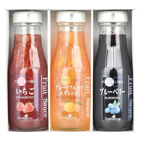 お返し 内祝い ギフトドレッシング・ジャム たかはたファーム フルーツソース3本詰合せFS-03A 新築 お礼 引越し 志 仏事 送料無料