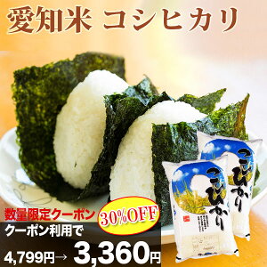 【数量限定30%OFFクーポン対象商品】米 白米 10kg 送料無料 コシヒカリ 5kg×2袋 愛知県産 令和元年産 コシヒカリ お米 10キロ 安い あす楽 北海道・沖縄は追加送料