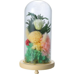 Ԃ j MtgA|gAW KXh[AWgC20030L Vz  z u  