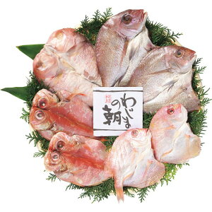 Ε Ԃ j MtgY ÂZbg Vz  z u  