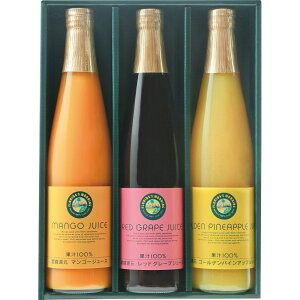 Ԃ j Mtg 100ʏ` t_X[jO}S[t[c100W[XMGP30 Vz  z u  