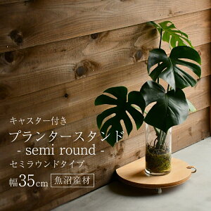 y쏊Xzvg[o[ ړ v^[X^h LX^[t Z~Eh 35cm  x[X A t[X^h ~` ی^ ] uiVRؐϑw {