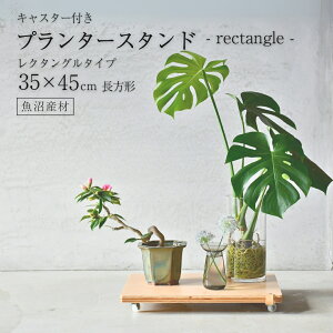 y쏊Xzvg[o[ ړ v^[X^h ` N^O  LX^[t 45×35cm A t[X^h ` p^ ] uiVRؐϑw
