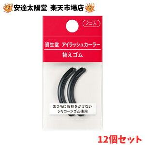 11xԗDǃVbv܁yFVbvzACbVJ[[ ւSi2j 12Zbg