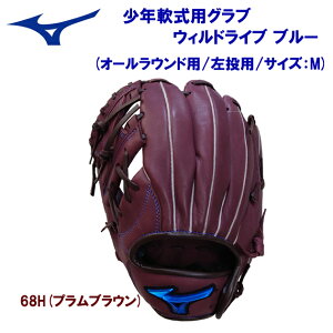 mizuno ~Ym NOu I[Eh NpOu EBhCu u[ (I[Ehp) 1AJGY27930 68H