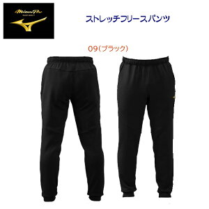 AEgbg mizuno ~Ym ~Ymv YEFA pc Xgb`t[Xpc 12JF0K71 J[F09