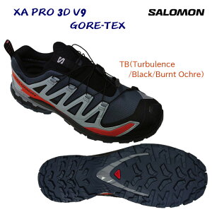 SALOMON T YV[Y SAebNX gCjOV[Y XA PRO 3D V9 GTX(Y gCV[Y) L47817500 J[FTurbulence/Black