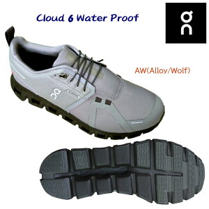 on I YV[Y jOV[Y Cloud 6 WP(Y) 3MF10061043 J[FAlloy/Wolf