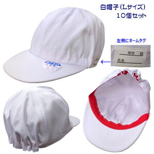 AEgbg STAR BRAND wZ ̑X Xq(10Zbg)