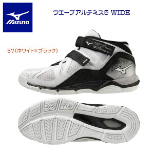 ~Ym fB[XV[Y o[V[Y EG[uAe~X5 WIDE V1GC2258 J[F57