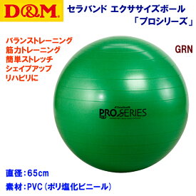 家トレグッズ D&M/バランスボール/エクササイズボール セラバンド エクササイズボール 「プロシリーズ」 SDS-65