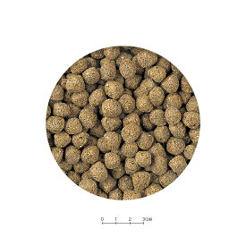 スドー　トータスフード　10kg