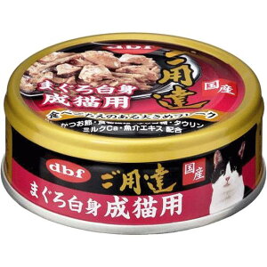 y2025.6zfrt@pB@܂딒g@Lpi80gj24Zbg