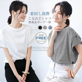 Tシャツ レディース 半袖 夏 秋 春 無地 ゆったボーダー柄 ゆったり カジュアル 大きいサイズ おしゃれ シンプル ゆるっと きれいめ 着回し 汗染み防止 トップス カットソー tシャツ