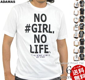 【在庫限り】Tシャツ メンズ 半袖 白 黒 おしゃれ カットソー プリントTシャツ ロゴ アメカジ シンプルTシャツ かっこいい クルーネック 白Tシャツ 黒Tシャツ 春 夏 ダンス スポーツ ゴルフ 海 リゾート アウトドア 夏Tシャツ