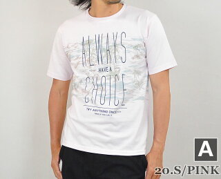 Tシャツメンズ半袖裏グラフィックプリントカットソーおしゃれロゴプリント高品質天竺生地綿100%コットン白ホワイトピンクブルー半袖Tシャツカットソーメンズファッショントップス春夏…