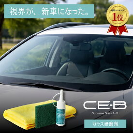 ガラス研磨剤 CE-B 30g 夜のギラつき一発解消 セリウム×ダイヤ配合 頑固なウロコ 油膜除去 マスキング不要 1滴からOK 少量で経済的 浴室鏡もOK フロントガラス 風呂 洗面台 簡単 強力