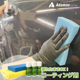 【 MPS 30mlx3本セット 】[ コーティング屋が開発 ] 自分でできる 簡単 コーティング 洗車機OK キズ消し 水アカ　油膜除去 洗車 おすすめ イオンデポジット下地処理 水垢 洗車機 ウォータースポット 雨ジミ キズ消し キズ埋め 黒シミ シミ 花粉 黄砂 塩カル 家族で洗車