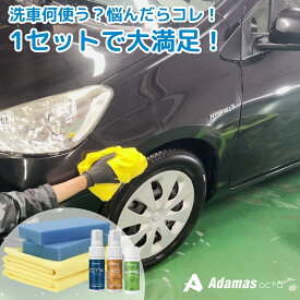 【 MPS Plusセット ( カーシャンプー コーティング剤 オーバーコート剤 セット) 】 汚れ落とし、下地処理、艶＆撥水UPが可能な基本の3点セット 洗車 コーティング剤 自分で 簡単 おすすめ 汚れが付きにくい 撥水 防汚 雨染み 雨シミ　イオンデポジット 雨 黄砂 花粉 塩カル