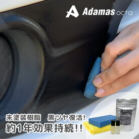 【 MPS SLASH 20ml(10mlx2本) 】 塗って拭くだけ 白化した未塗装樹脂に艶を! 新車に施工することで白化防止に! 1年以上の持続効果実績あり 車 洗車 黒樹脂復活 樹脂パーツ 樹脂復活 コーティング