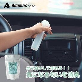 【 Nio1 SE 60g (スプーン付) 】車 車内 消臭 ニオイ におい ニオイ消し 臭い くさい 強力 顆粒タイプ 水で溶かすだけ 簡単 スプレー 噴霧 吹きかけ 吹き付け シート 天張り エアコン エアコンフィルター カーテン ソファー 空間 ペット 汗 皮脂 タバコ