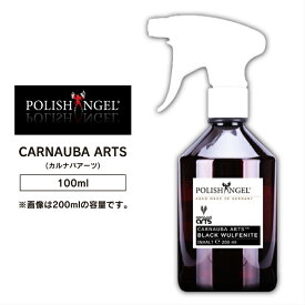 車 カラーワックス POLISH ANGEL CARNAUBA ARTS 100ml