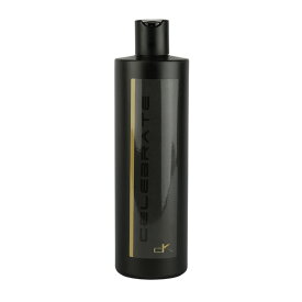 【在庫処分SALE】DetailingKingdom Celebrate 500ml 研磨 高温抑制