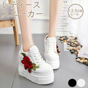 nCJbg C vbgtH[ [XAbvV[Y ₷ 12.5cmq[ ohJ Cq[ fB[XXj[J[